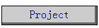 Project